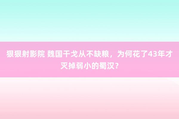 狠狠射影院 魏国干戈从不缺粮，为何花了43年才灭掉弱小的蜀汉？