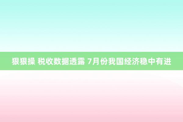 狠狠操 税收数据透露 7月份我国经济稳中有进