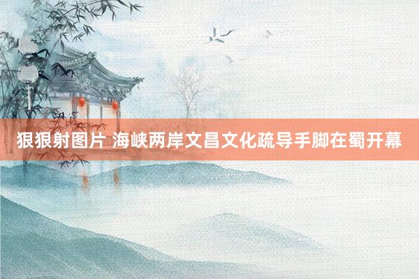 狠狠射图片 海峡两岸文昌文化疏导手脚在蜀开幕