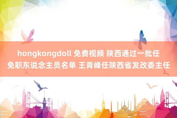 hongkongdoll 免费视频 陕西通过一批任免职东说念主员名单 王青峰任陕西省发改委主任