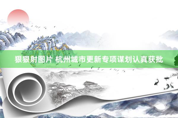 狠狠射图片 杭州城市更新专项谋划认真获批