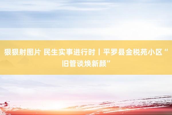 狠狠射图片 民生实事进行时丨平罗县金税苑小区“旧管谈焕新颜”