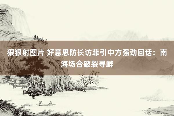 狠狠射图片 好意思防长访菲引中方强劲回话：南海场合破裂寻衅