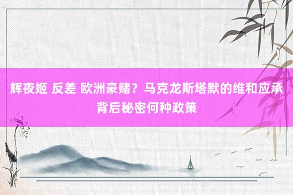 辉夜姬 反差 欧洲豪赌？马克龙斯塔默的维和应承背后秘密何种政策