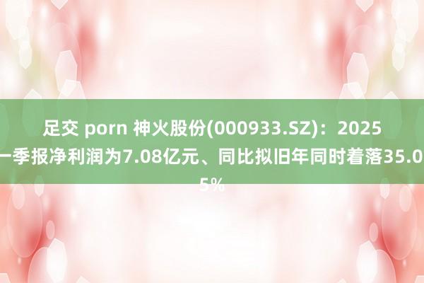 足交 porn 神火股份(000933.SZ)：2025年一季报净利润为7.08亿元、同比拟旧年同时着落35.05%