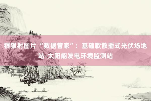 狠狠射图片 “数据管家”：基础款散播式光伏场地站-太阳能发电环境监测站