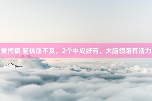 爱搞搞 脑供血不及，2个中成好药，大脑领路有活力
